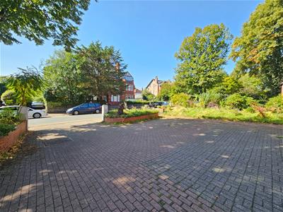 Picture 26